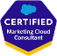 Marketing Cloud Consultant