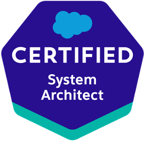 System Architect